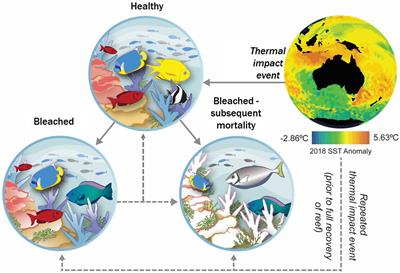 Between a Reef and a Hard Place: Capacity to Map the Next Coral Reef Catastrophe